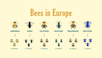 Bees in Europe